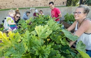 Work-in-the-Dirt-300x192